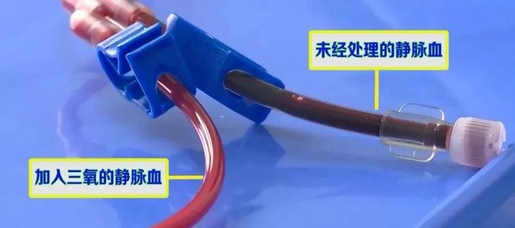 三氧.jpg 三氧.jpg